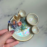 Mermaid Dreams - Coral Reef Dish Iridescent Infinity Sea Turtle Tray