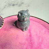Pretty Kitty Dish Iridescent Infinity Tray Pink