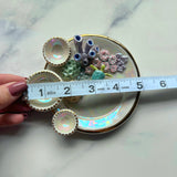 Mystic Waters- Coral Reef Dish Iridescent Infinity Sea Turtle Tray