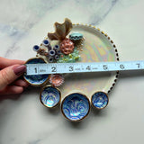 Coral Reef Dish Iridescent Infinity Sea Turtle Tray A