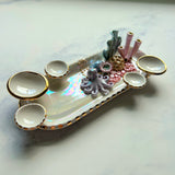 Curious Cutie - Octopus Coral Reef Dish Jewelry Infinity Tray