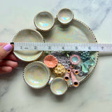 Turtle Garden - Coral Reef Dish Iridescent Infinity Sea Turtle Tray
