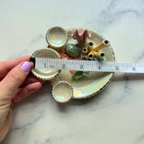 Turtle Cove - Coral Reef Dish Iridescent Infinity Sea Turtle Tray