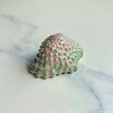 Pink and Green Drippy Blob