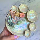 Turtle Garden - Coral Reef Dish Iridescent Infinity Sea Turtle Tray