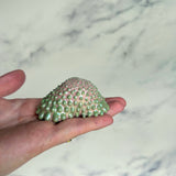 Pink and Green Drippy Blob