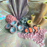 Finding Naomi - Shell Jewelry Wall Hanging- Clown Fish - Coral Reef Necklace Display C
