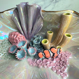 Finding Naomi - Shell Jewelry Wall Hanging- Clown Fish - Coral Reef Necklace Display C