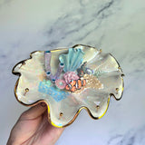 Finding Naomi - Shell Jewelry Wall Hanging- Clown Fish - Coral Reef Necklace Display B