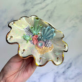Blue Lagoon - Turtle Shell Jewelry Wall Hanging Coral Reef Necklace Display