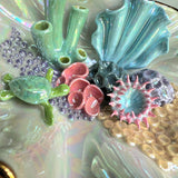 Blue Lagoon - Turtle Shell Jewelry Wall Hanging Coral Reef Necklace Display