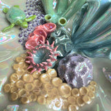 Blue Lagoon - Turtle Shell Jewelry Wall Hanging Coral Reef Necklace Display