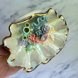 Blue Lagoon - Turtle Shell Jewelry Wall Hanging Coral Reef Necklace Display