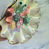 Tidal Wispers - Turtle Shell Jewelry Wall Hanging Coral Reef Necklace Display