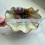 Finding Naomi - Shell Jewelry Wall Hanging- Clown Fish - Coral Reef Necklace Display C
