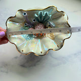 Finding Naomi - Shell Jewelry Wall Hanging- Clown Fish - Coral Reef Necklace Display B