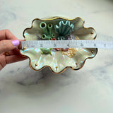 Blue Lagoon - Turtle Shell Jewelry Wall Hanging Coral Reef Necklace Display